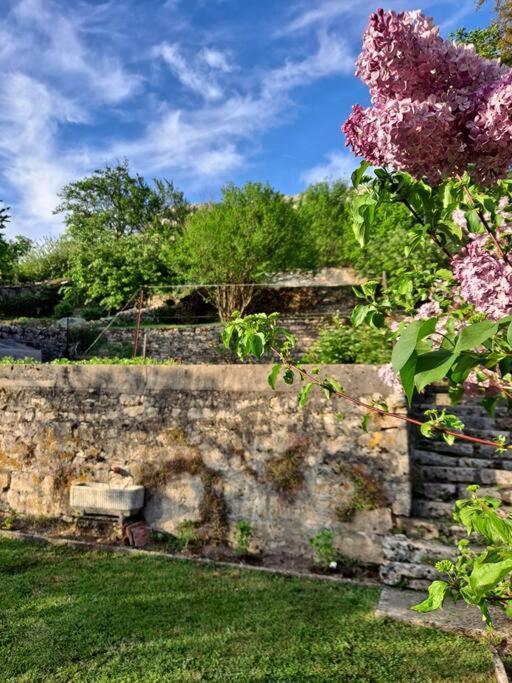 Residence La Mamone Ornans Luaran gambar